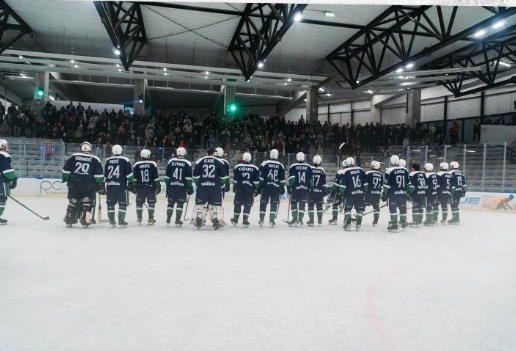 Momčad KHL Siska pozdravlja punu tribinu